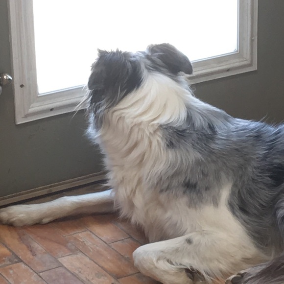 Meet your Posher, Anne-marie - Picture 1 of 1